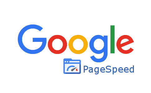 Google Page Speed Insight Logo